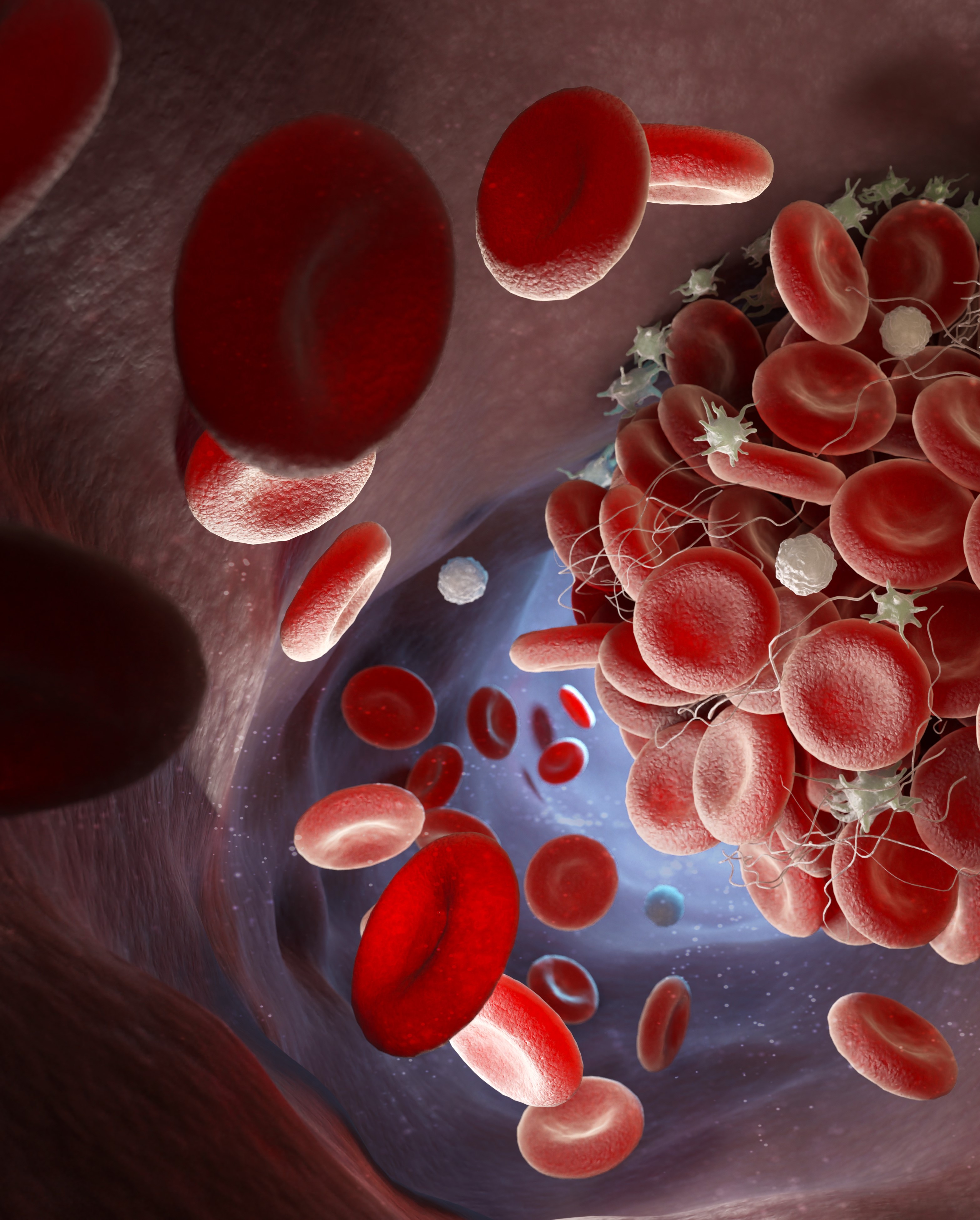 Оцінка системи гемостазу